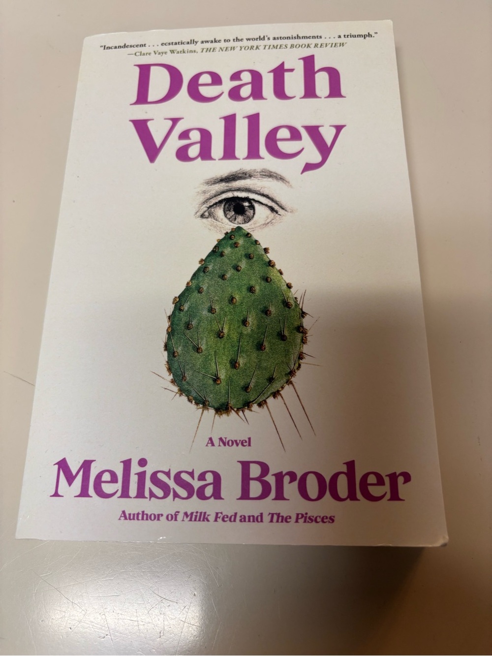 Death Valley by Melissa Broder - White & Purple Paperback